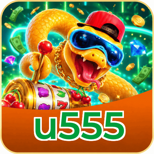 u555